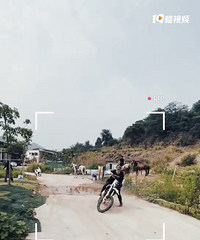 ໥ṩֵ89175CM˾ĸ飬ϣ