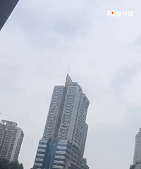 ���¹���񶯹���