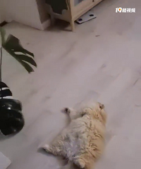 һ��K��Ҳ�����֣������˷��Լ��ڼ�������