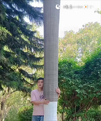 86176CM̲ȾƲƵĸ飬һ׷޴