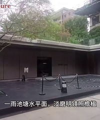 ��ѧ�ǵ����ڵ�������