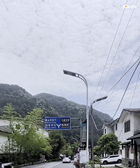 ��ɽ�ȱ���ũ��Ժ�Ӱ����⡪����