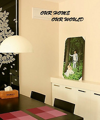 our home,our world ˵˼