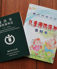 ���ڱ����������һ��ǳ��