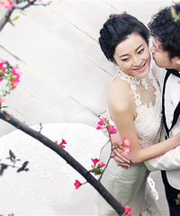 ***  �����³�֤������ͶƱ��ַ���ﱸ��+��2012�ļ����***