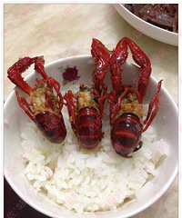 【佐佐'S厨房】又上新菜菜了,香辣小龙虾哟!补钙补钙,哈哈!