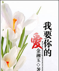 《我要你的爱》作者:金湘玉(正文完)