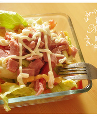 【诺玛食事】——更新**王世子蛋包饭**!美味沙拉,美貌又美味!