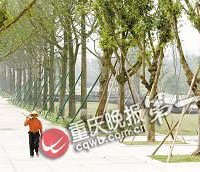 重庆中央公园10月开园 儿童游戏场免费耍
