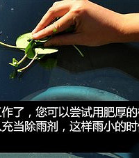 恍然大“雾”,天转凉,秋季驾车注意事项。