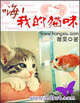 《嗨,我的猫咪》作者:莓果