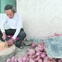 18��������� �ϸ�������ʬ������������