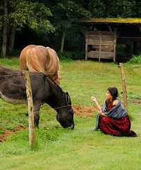 Ӱӵǵ˹2600㹥.. ϣ