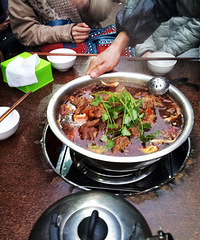猥琐派指定腐败点之磁器口严记水煮蹄花