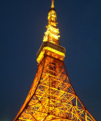 Valentine's in Tokyo~~东京5日游