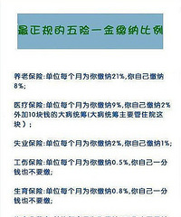 ��ҵ��籣�����������ô���İ�