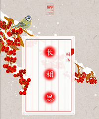 《长相思》 :桐华~出书版完结~桐华2013开年巨献!!