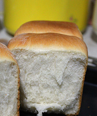 ����è�決�����ѧϰ·֮�����������ͷ�������𺫹���ͷ�����