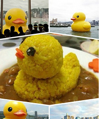 来一个小黄鸭咖喱饭吧~~~嘎嘎嘎~~~~~