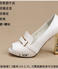 ��ɹ��Ʒ������ɫ���鱭���Ƕ���*��Ь��*