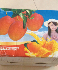 性价比超高的攀枝花芒果团!去年团过凯特芒果和纽荷尔的商家!
