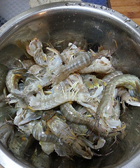 老石私房菜—超级简单的椒盐濑尿虾