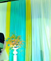 ��ͶƱ~�ף���5.19��&��5.28������ʽ+����ʽ��2013�ļ����