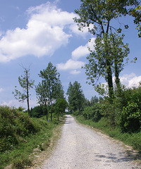 走嘛周末27号又走南川风吹岭避暑露营