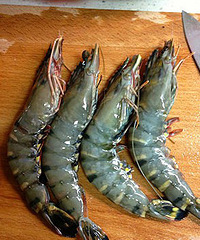 【难得勤劳】蒸黑虎虾、扇贝、自制爽口肉丸和高汤~