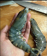 【难得勤劳】蒸黑虎虾、扇贝、自制爽口肉丸和高汤~