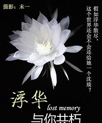 《浮华与你共朽》 谢楼南