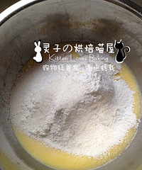 菜鸟烘焙【Chapter 6 简易华夫饼】我是灵子,我喂自己袋盐!