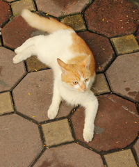 ��ѧ��on the way___����96�� ��Խ�ϡ����ɱ�