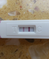 最不抱希望的一月,结果却无限欣喜……