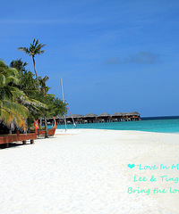 每天都是情人节,每次都是Honeymoon——Love in the Maldives