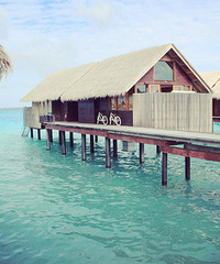 �Ҹ����~SHANGRI-LA~����~���Ƭ~