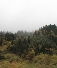 2013国庆茂县-黑水小环线,达古冰川,卡龙沟、松坪沟自驾