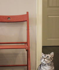 ���������������ͣ���ȡ�ϻ���ҳ������������~~��������