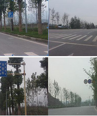 【路考】电子路考操作要求及评判标准。。。