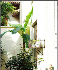 ��ת����֮�����ռ䣬���ǲ�˵��񣬶�����˵������װ