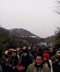 金佛山上过元旦,海量信息等你看~