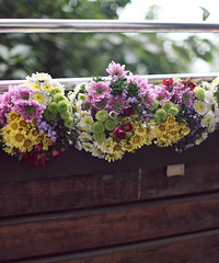 ������������