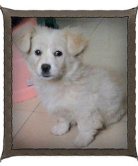 뵱ëŮĻëë4µĹҼҼң