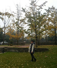 �������о����յĳ���˳�����̡�ķ��һ����������ˡ�