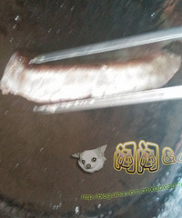 【闷闷&小宝】自制意式肉酱面与菲力牛扒,挑动你的味蕾!~