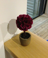 ����һ�������ң����±�ҵ��Ԥ�棩��PPG��ʦ�ᱭװ���ռǡ�