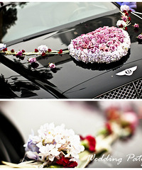 【一生一次,一次一生】.---Wedding Party. !!!(视频更新在2楼)