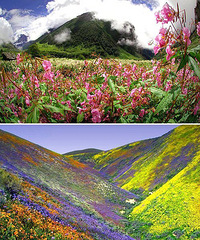 ͩͩȥߣ磡˵˵ȥĵط