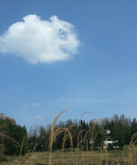 夏天要来了,给大家介绍下避暑的好地方利川谋道镇