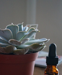 ӭsephoraС٣ɹɹͷúͶڻ~׵ĸºʹͼ